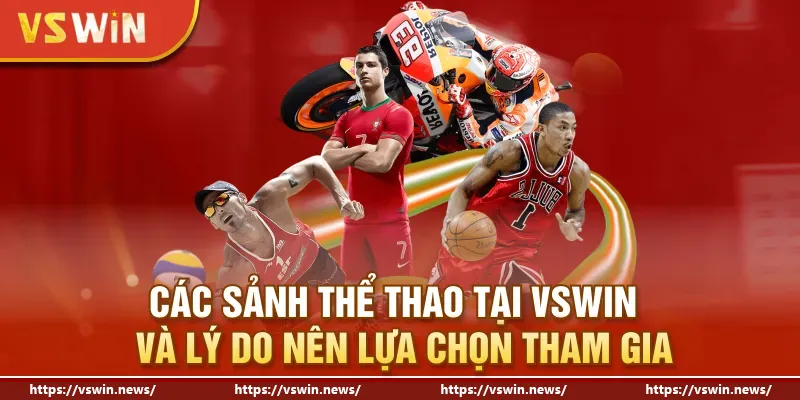 Các sảnh thể thao tại VSWIN và lý do nên lựa chọn tham gia