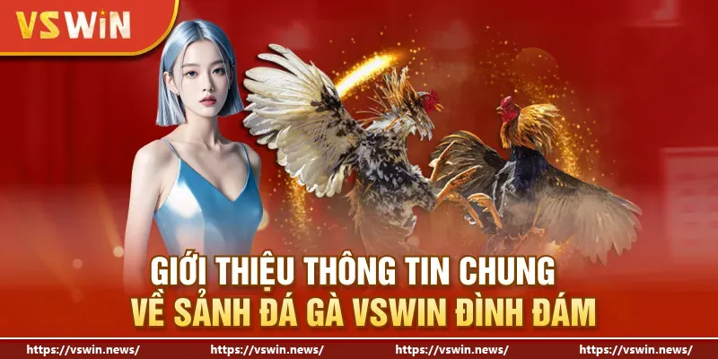 Giới thiệu thông tin chung về sảnh đá gà VSWIN đình đám